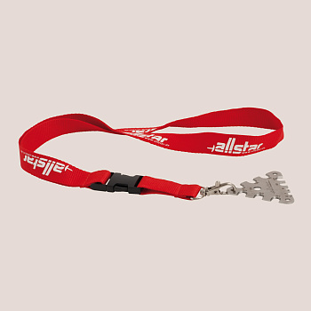 Профессиональный щуп Альстар